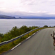 Image for article titled Meet the Wildlife Inadvertently Captured By Google's Street View Cameras